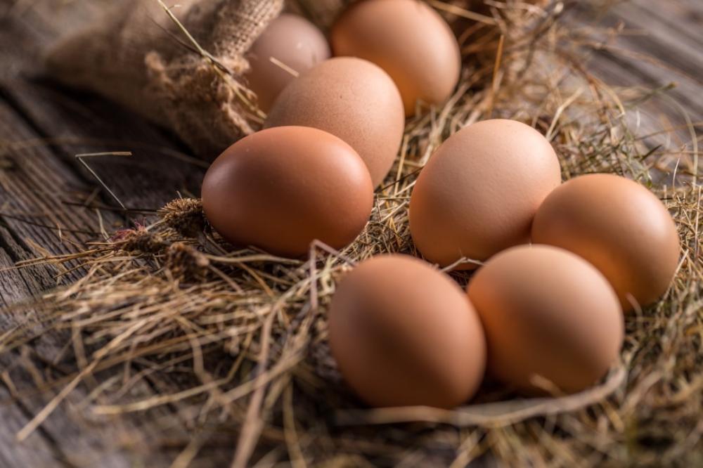 oeufs