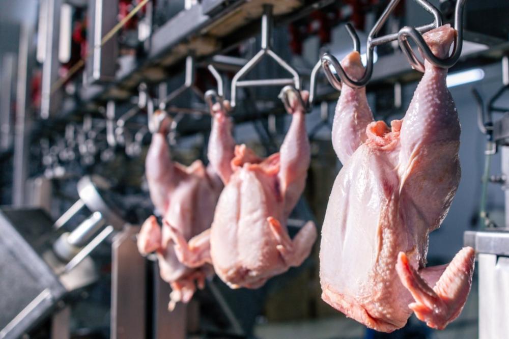 abattoir